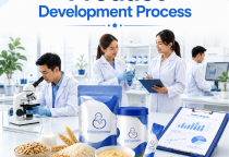 Product Development Process