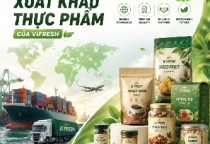 Vifresh Food Export Solutions