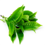 Tea Leaf
