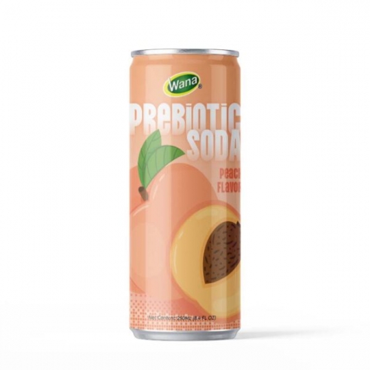 Prebiotic Soda – Lime Mint Flavor Wana